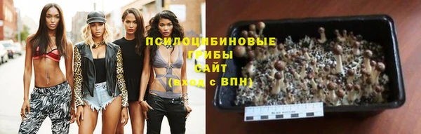 прущие крисы Инта