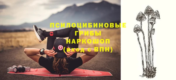 эйфоретик Иннополис
