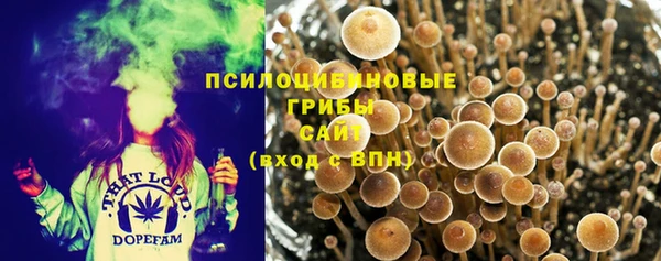 прущие крисы Инта