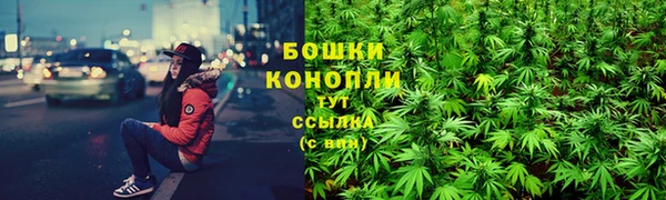 эйфоретик Иннополис