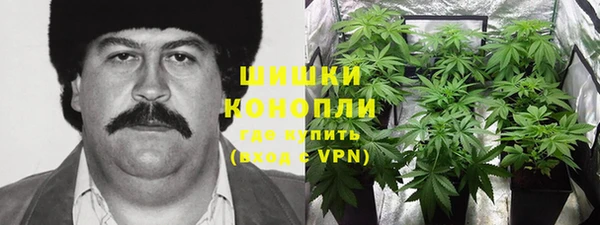прущие крисы Инта