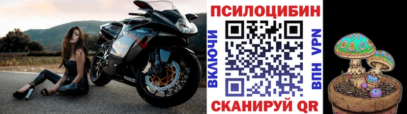 Псилоцибиновые грибы мицелий Ливны